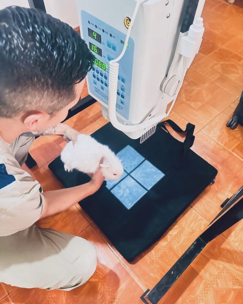 468324891 17886376425138068 1191315174670023996 n