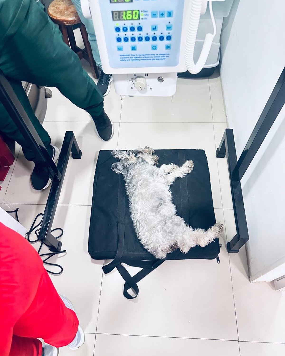 468325766 17886377265138068 3381414705355301594 n