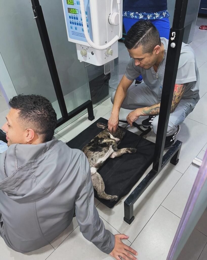 468326347 17886376494138068 1628800550908637377 n