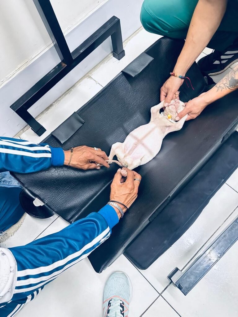 imagen de whatsapp 2025 08 28 a las 07.25.14 b0007b06