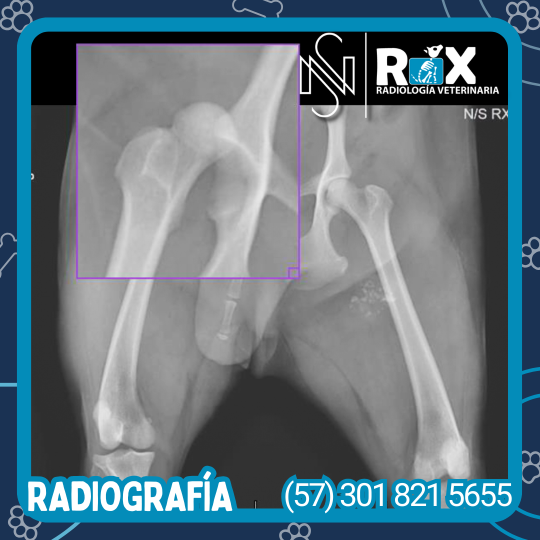 post nsrx 11sep 01 1