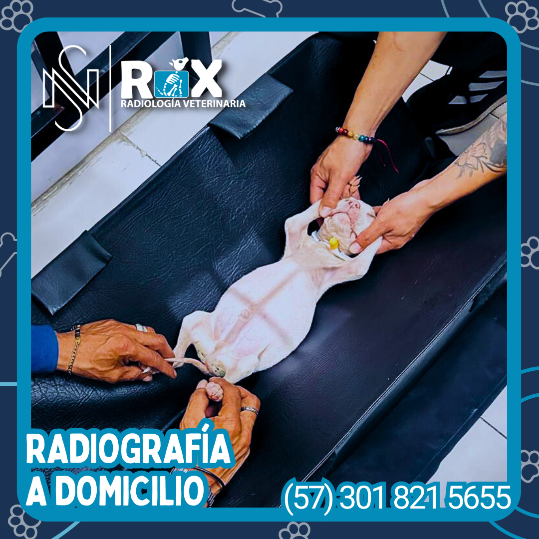 post nsrx 12sep 01 1