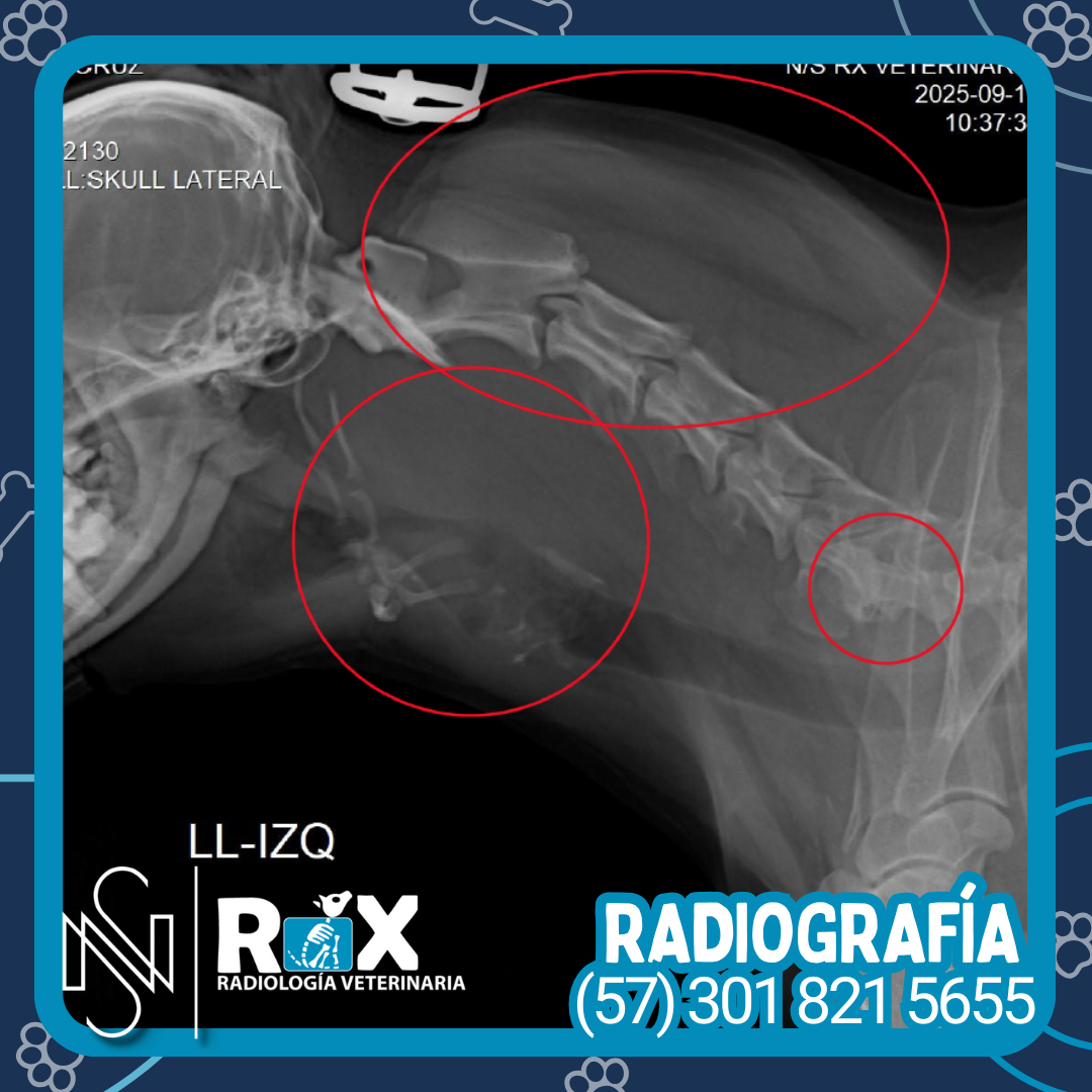 post nsrx 17sep 01 1