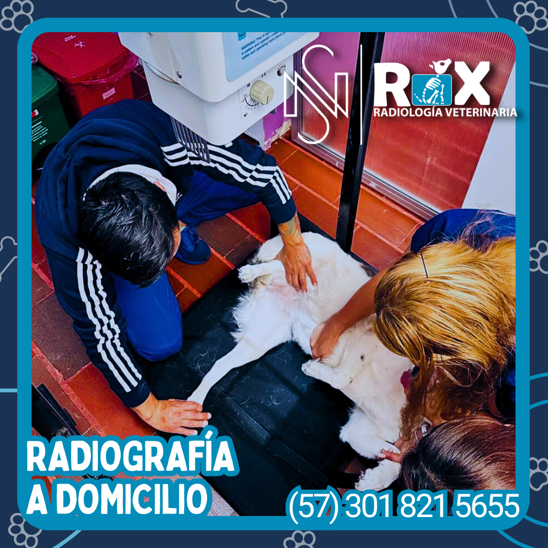 post nsrx 19sep 01 1