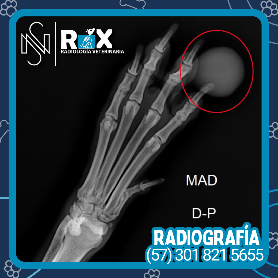 post nsrx 20sep 01 1