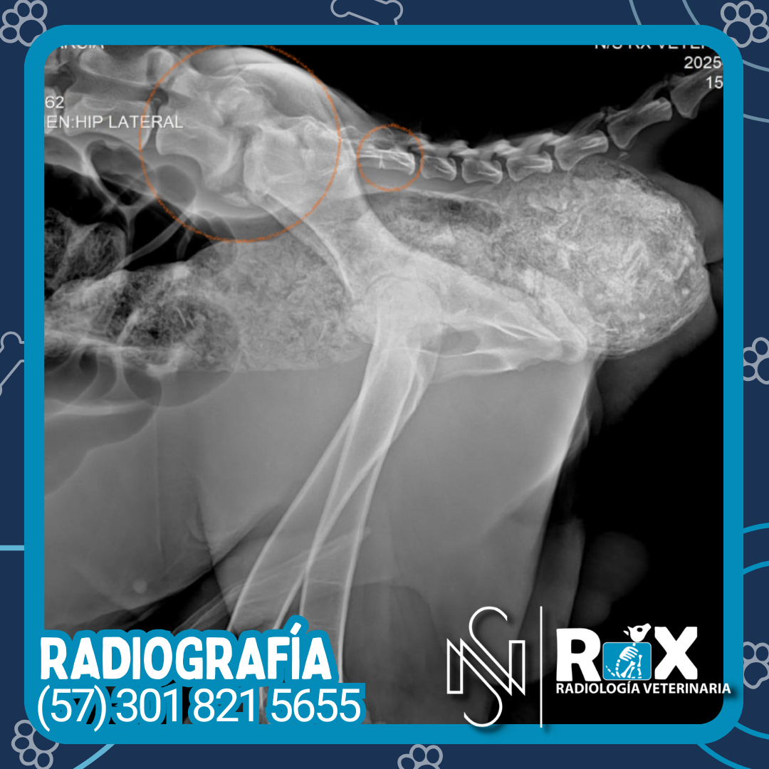 post nsrx 22sep 01 1