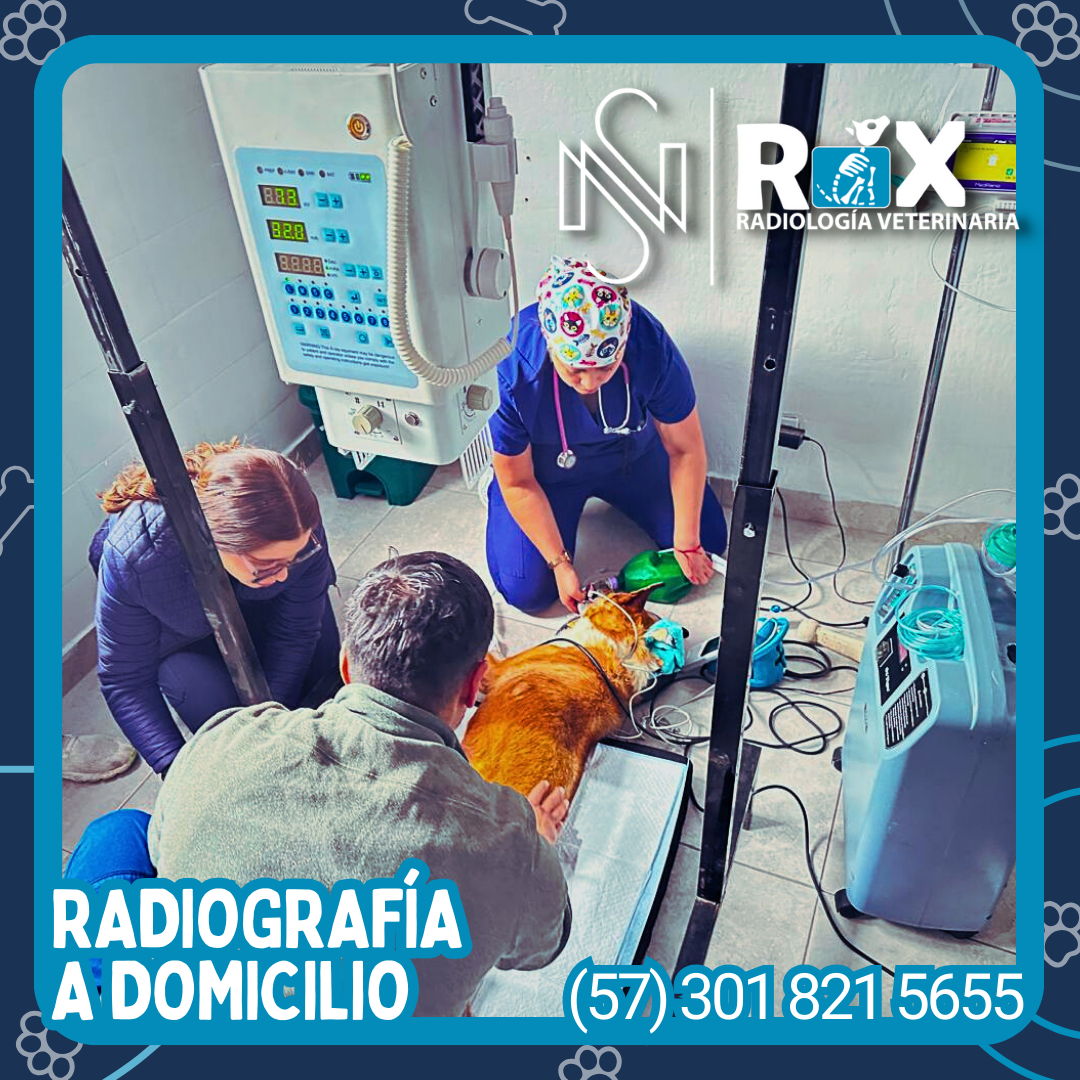 post nsrx 25sep 01 1