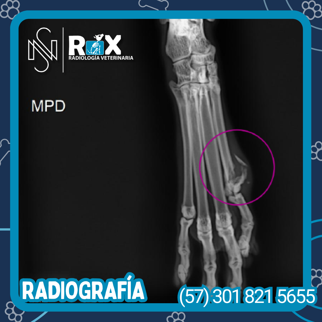 post nsrx 26ago 03 1