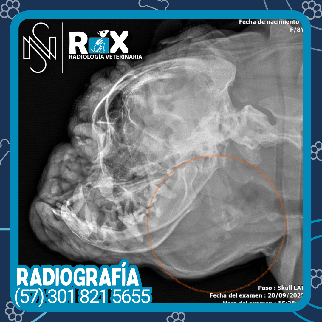 post nsrx 26sep 01 1