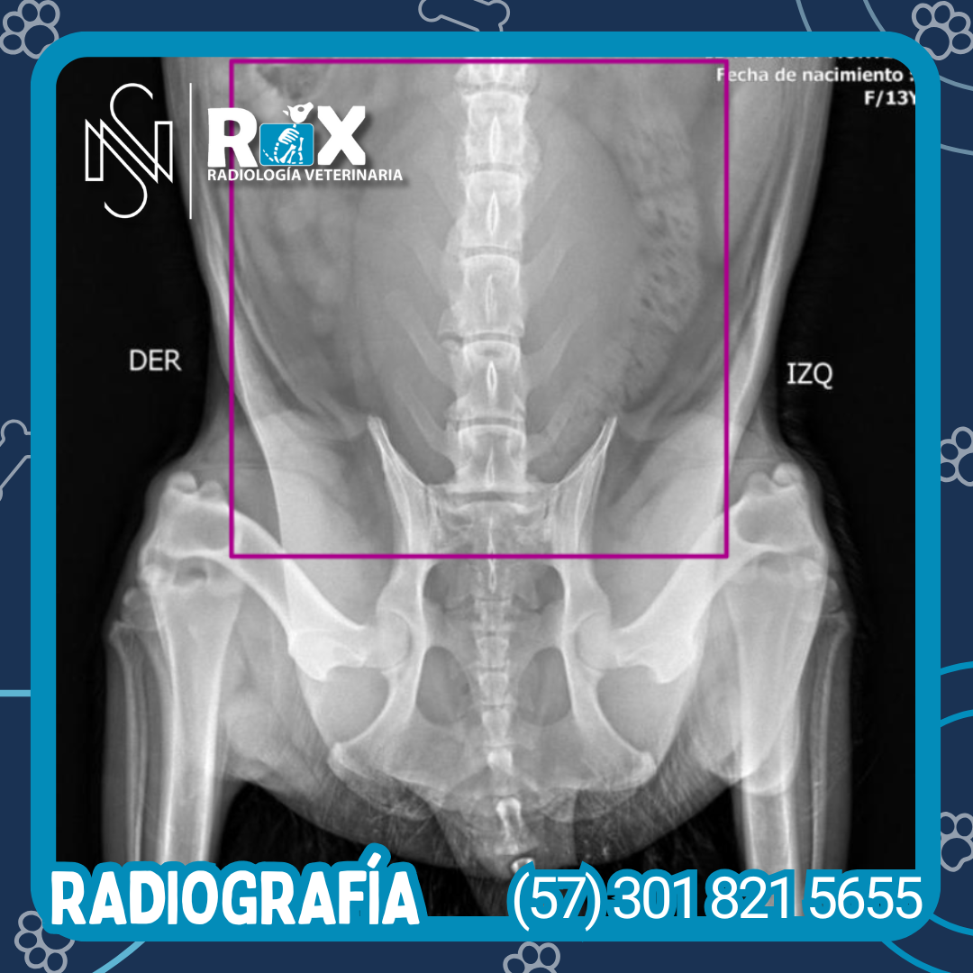 post nsrx 28ago 01 1