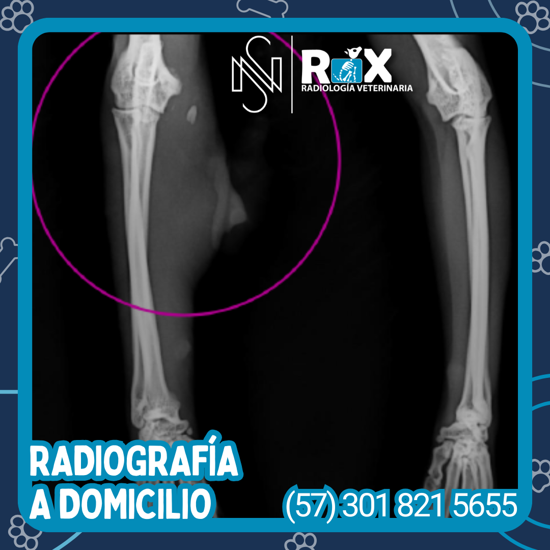 post nsrx 29ago 01 1