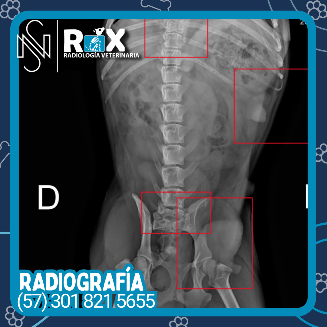post nsrx 29sep 01 1